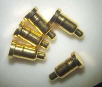 Mūsu Pogo Pin sāls izsmidzināšanas testa ziņojums